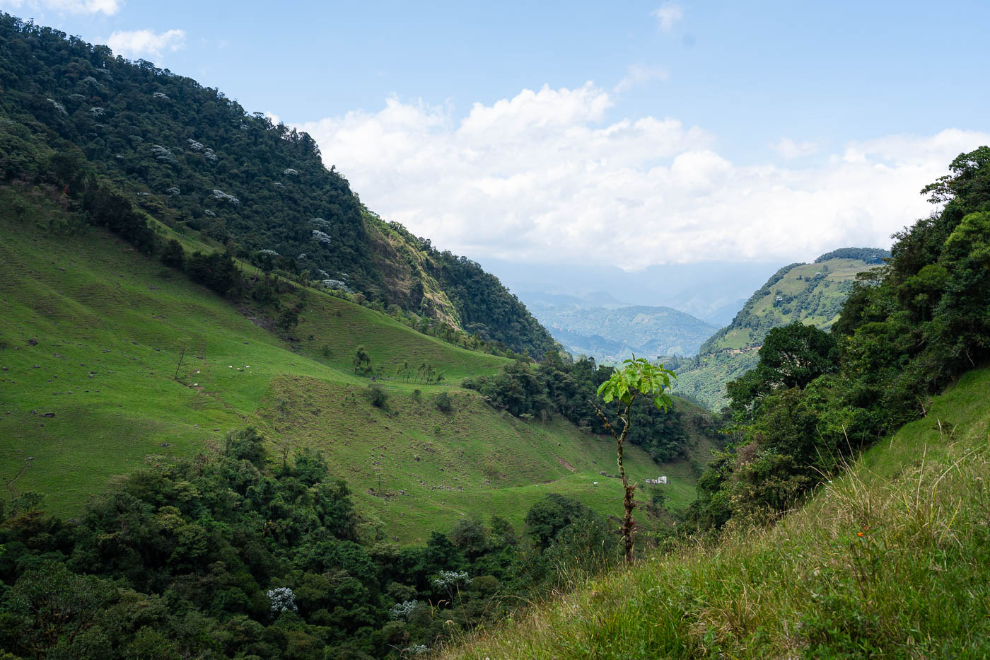A view across a valley in the Andes from the trail up to the Fall of the Dragon waterfall.