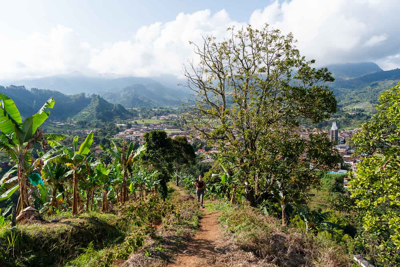 Sara walking up the Cristo Rey trail with trees one side, a banana farm the other side and Jardin in the distance.