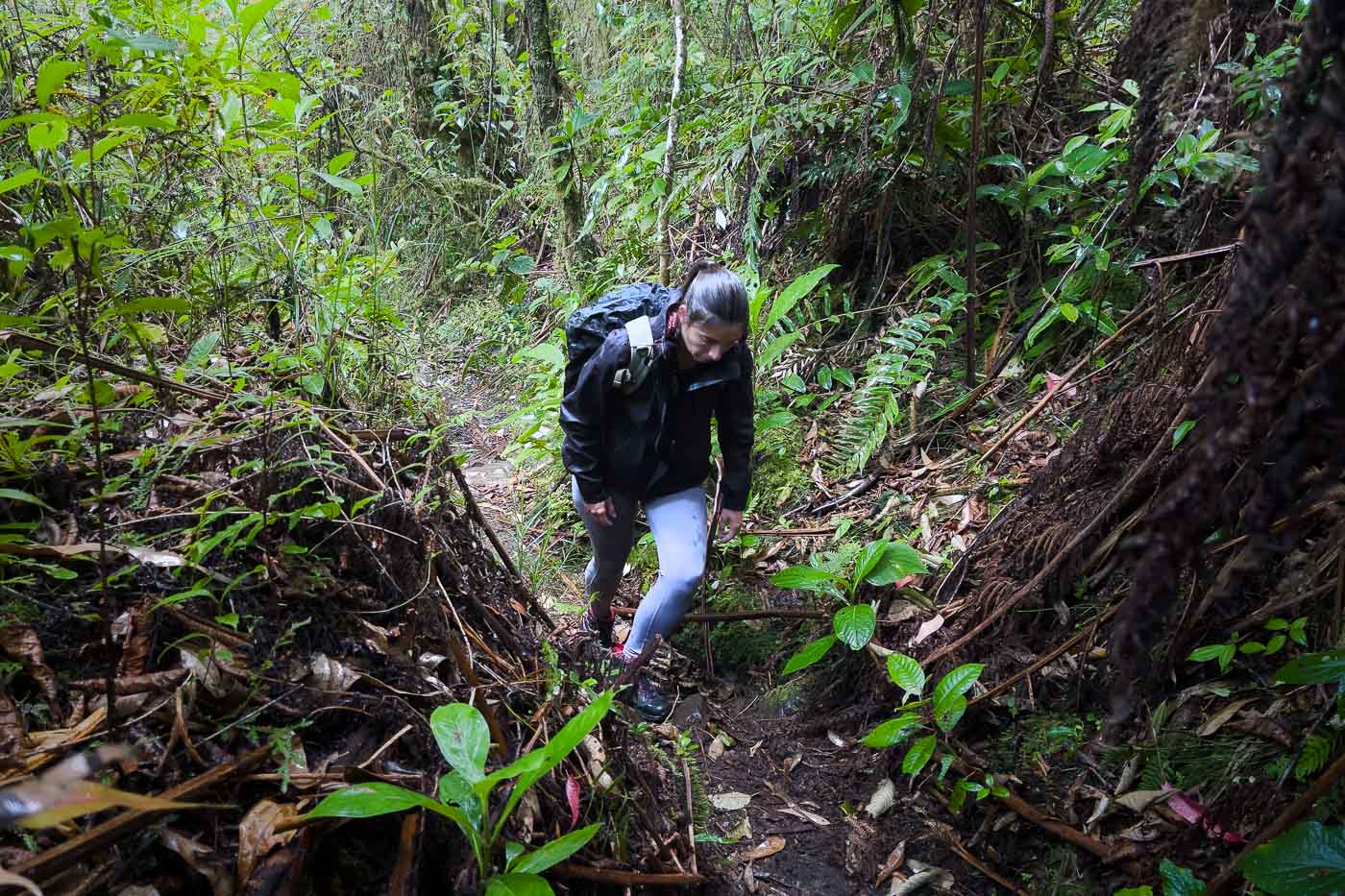 Sara looking tired as she walks along a wild trail in the Colombian rainforest.