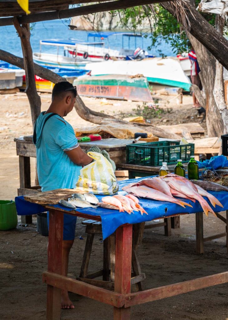 A fresh fish vendor on Playa Taganga.