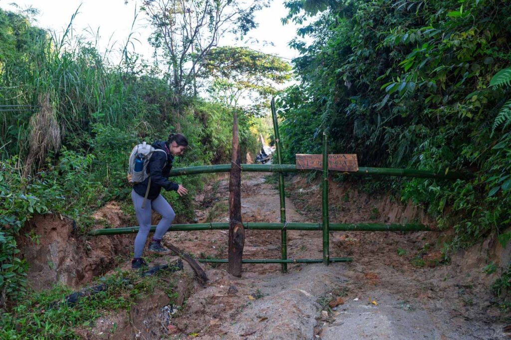 Sara clambering over a bamboo gate along the Los Pinos Minca trail in the forest. Sara clambering over a bamboo gate along the Los Pinos Minca trail in the forest.