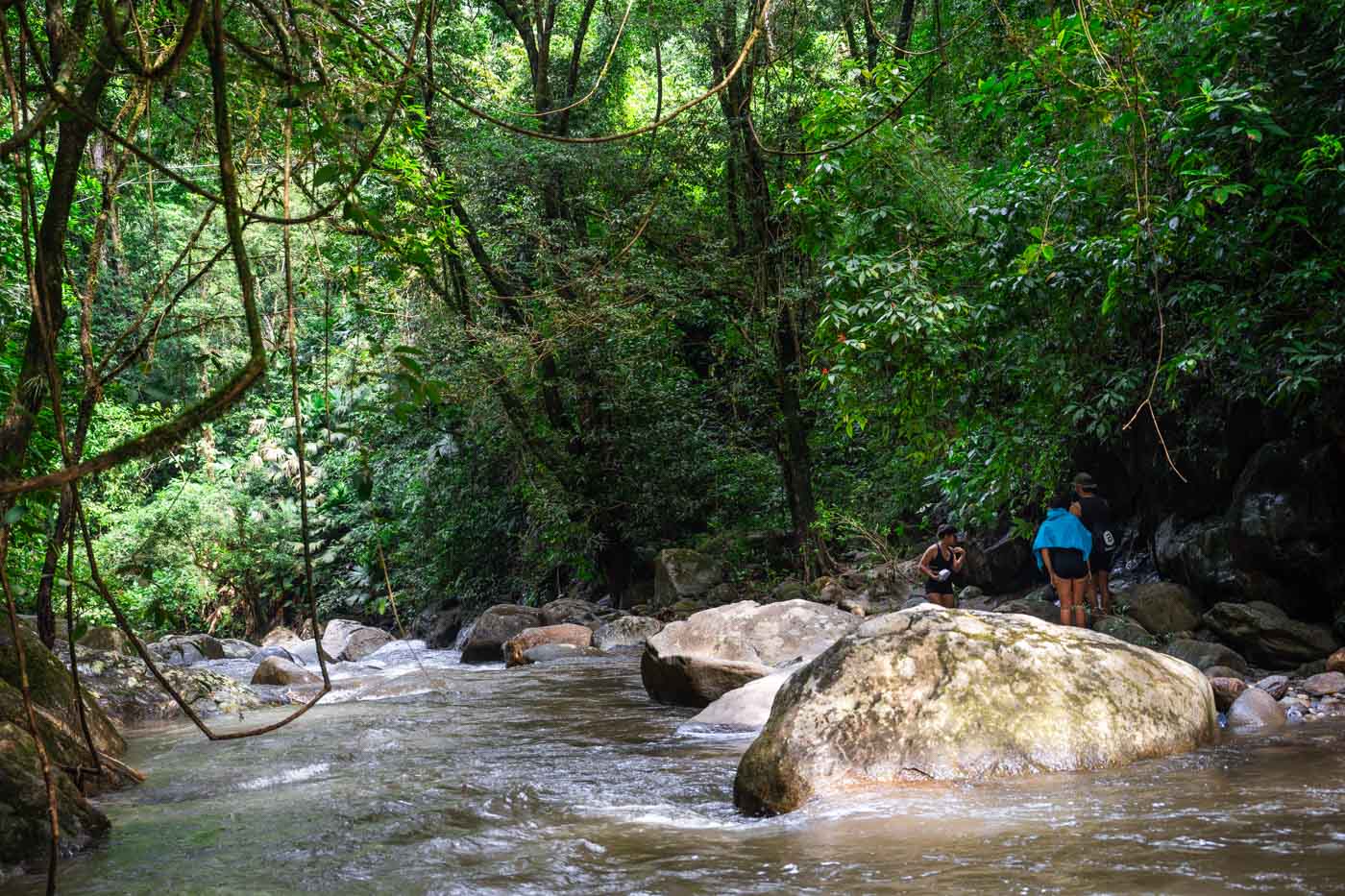 A group of tourists standing beside a river in the forests of Minca.
