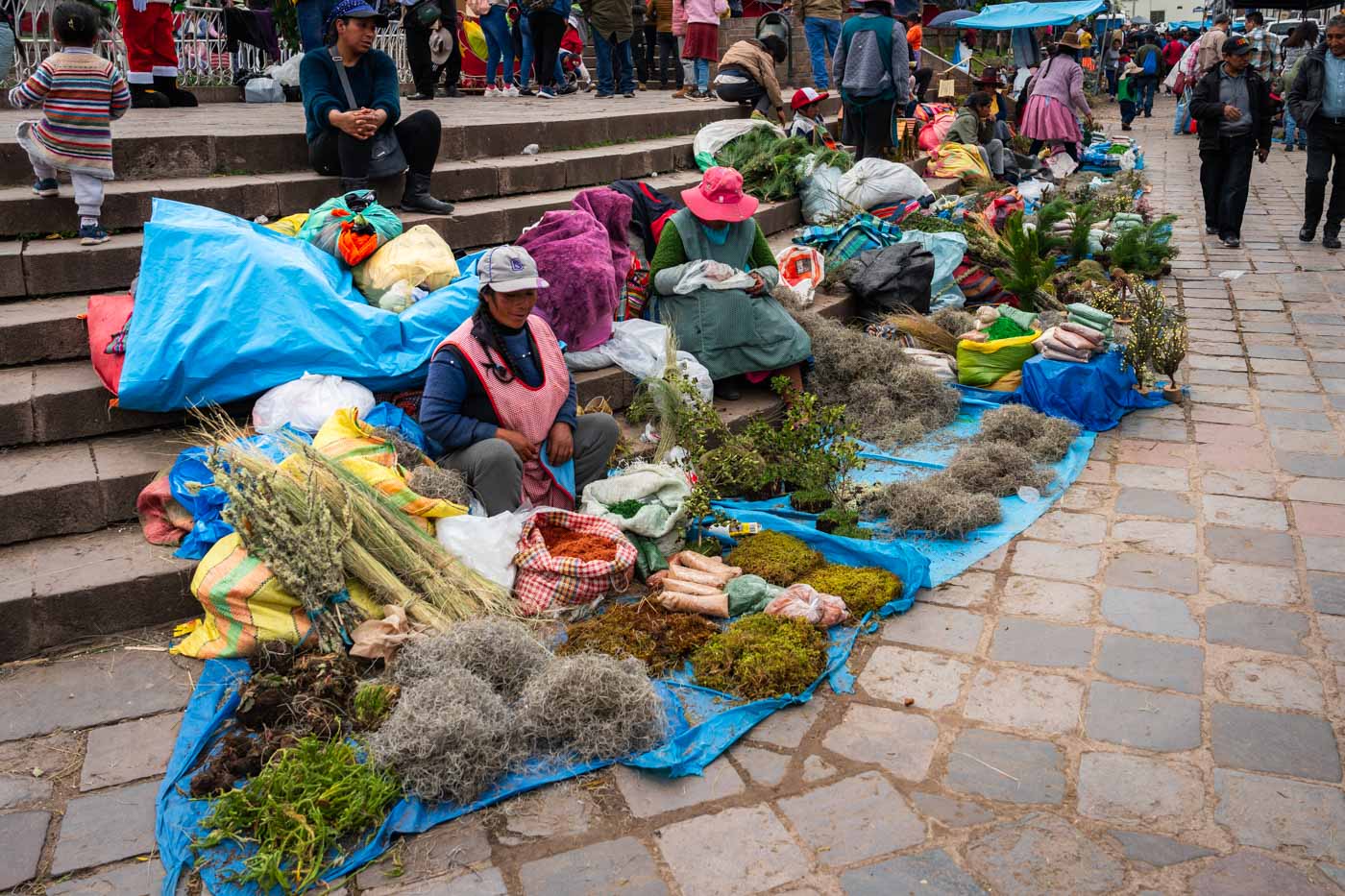 Local indigenous Peruvian women sat on the street selling a bunch of leaves, grass and moss .