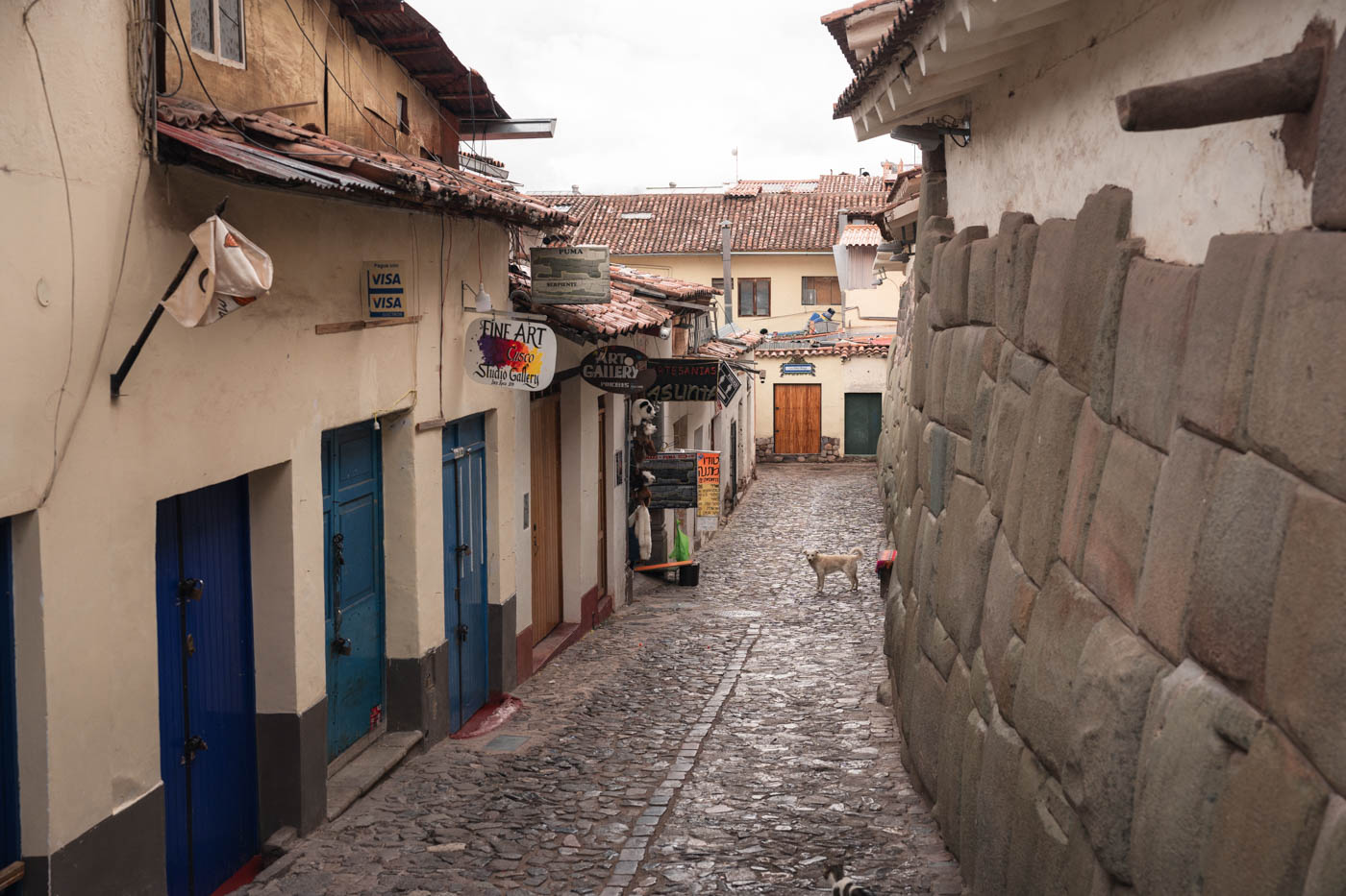 A dog standing in an empty back street alley of Cusco beside art galleries.